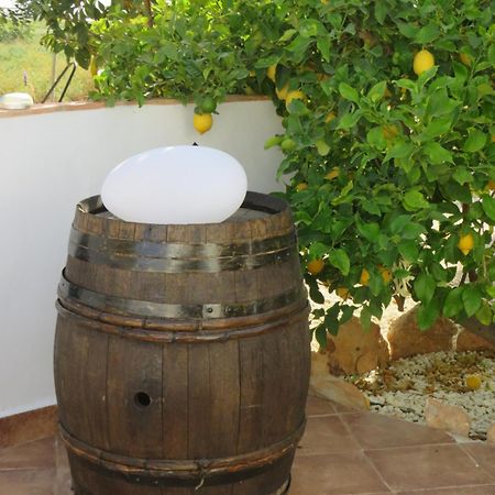 B&B Finca La Manchica การ์ตาเฮนา ภายนอก รูปภาพ
