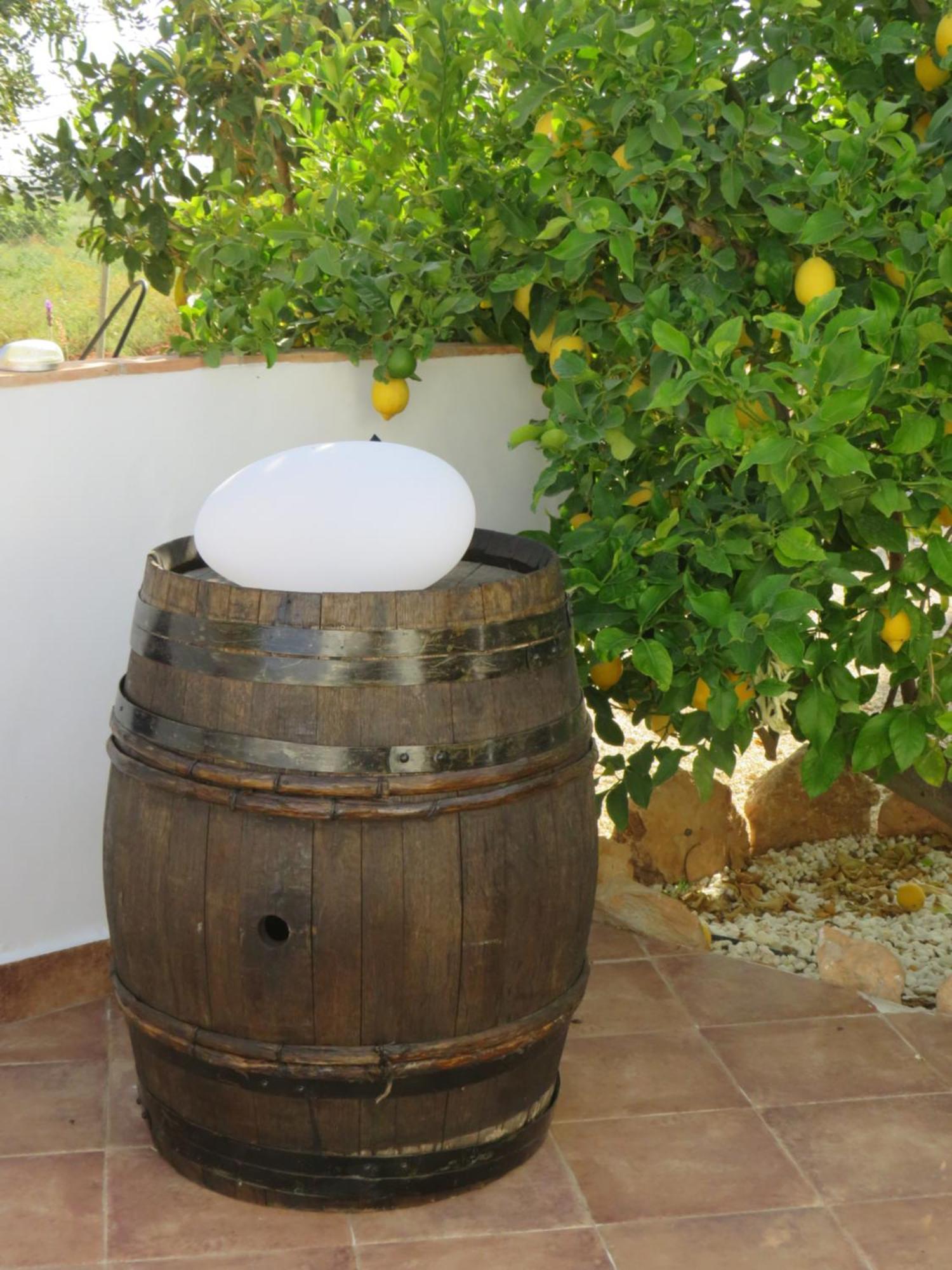 B&B Finca La Manchica การ์ตาเฮนา ภายนอก รูปภาพ